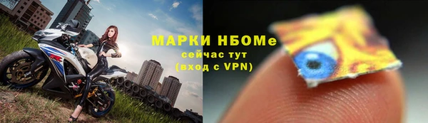 дмт Новозыбков