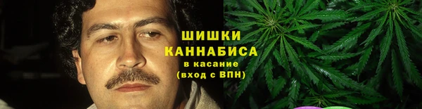 дмт Новозыбков