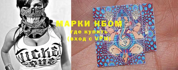 дмт Новозыбков